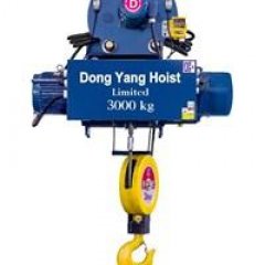 Palang cáp Hàn Quốc tải 2 tấn DONGYANG dầm treo