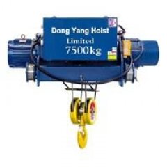 Palang cáp Hàn Quốc DONGYANG 2 dầm tải 5 tấn
